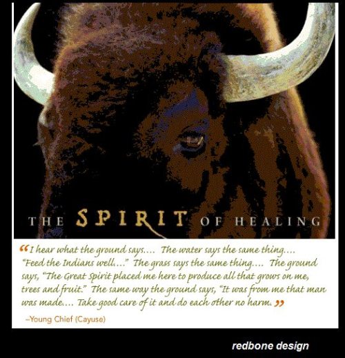 1450345_10151613402471887_600315777_n