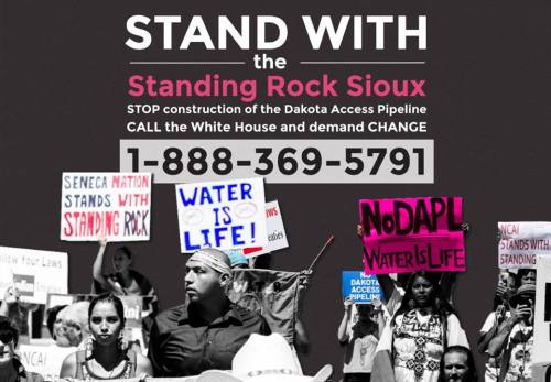 14141792_10157477536955165_285900161515170572_n